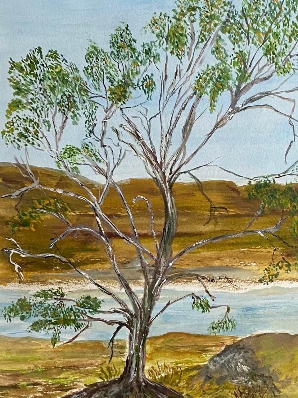 Painting by Marlene Gardner: a tree with pale, twisting branches beside water, with brown hills behind